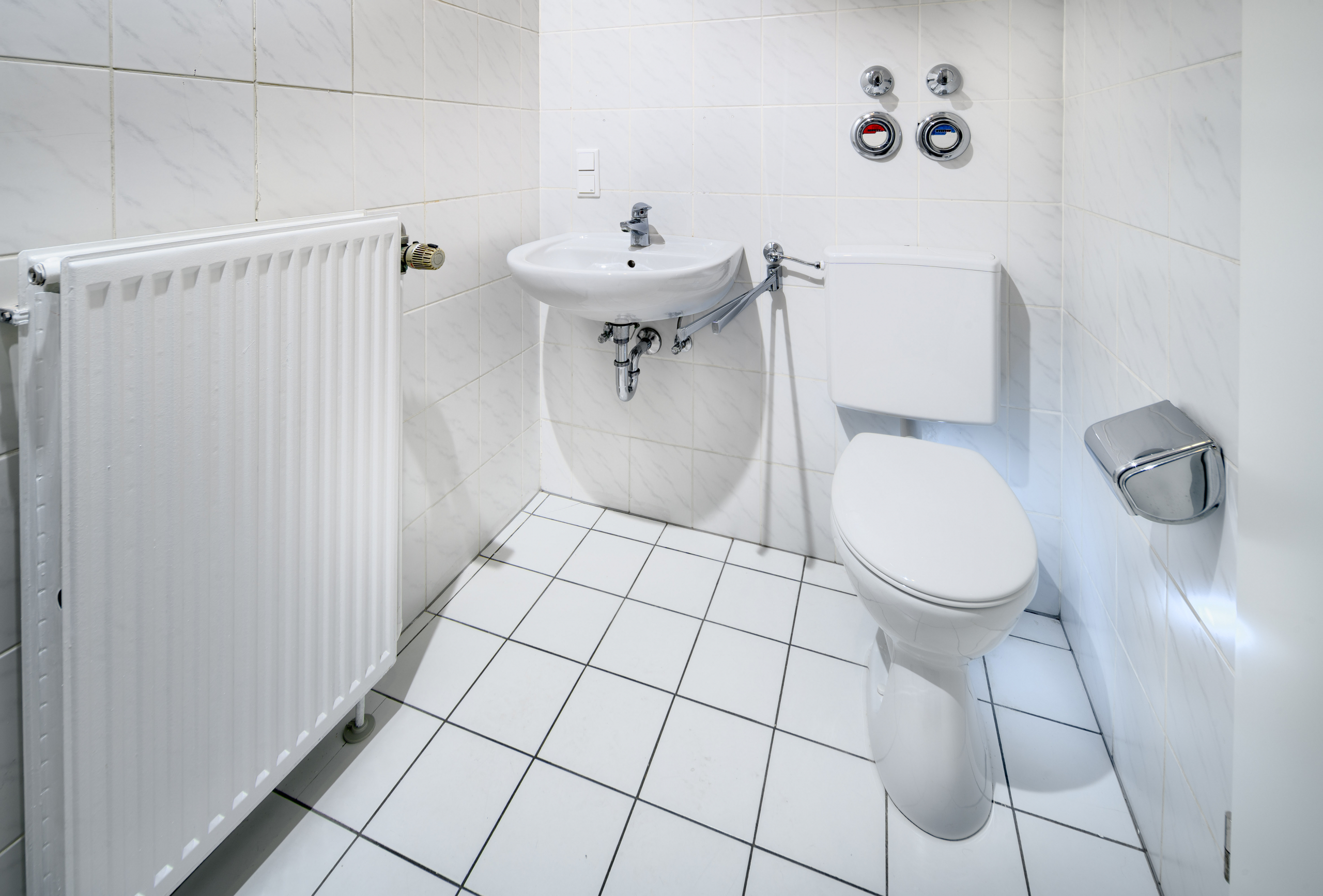 altenbrueckstr-15-duesseldorf-1og-toilette-druck